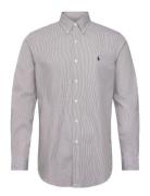 Polo Ralph Lauren Custom Fit Striped Stretch Poplin Shirt Multi/patter...