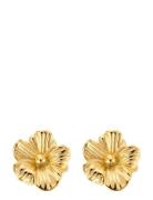 By Jolima Daisy Earring Gold Guld