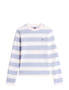 Tommy Jeans Tjw Reg S Flag Jersey Ls Tee Ext Multi/patterned