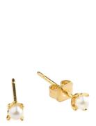 Timi Of Sweden Essie - Mini Pearl Stud Earrings Guld