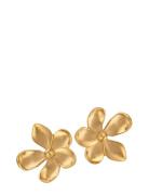 Sistie Blumie - Earstuds Gold-Plated Guld