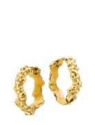 Sistie Hoop - Creoles Gold-Plated Guld