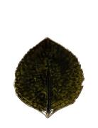 Costa Nova Bladfad Hydrangea S Grön