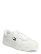 Tommy Hilfiger The Greenwich Vit