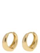 Timi Of Sweden Faye - Classic Wide Hoop Earrings Guld