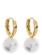 Timi Of Sweden Essie - Pearl Hoop Earrings Guld