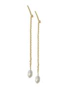 Timi Of Sweden Lucia - Pearl Chain Earrings Stainless Steel Guld