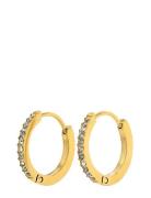 Timi Of Sweden Nilea - Crystal Hoop Earrings Stainless Steel Guld