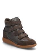 Steve Madden Mustang Brun