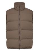 Scandinavian Edition Script Brun