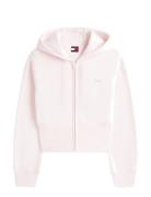 Tommy Jeans Tjw Reg Silver Script Zip Thru Rosa
